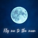The Moon 이미지