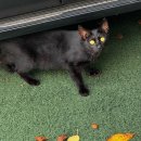 발란펜션 이미지