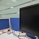 티엔에프(TNF) | [TNF컨설팅 인턴] HR 인사 직무 컨설팅 회사 채용 전환형 인턴 / 입사 첫날 일과 업무 온보딩 후기