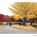 내장산 단풍생태공원 이미지