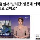 고기공장 이미지