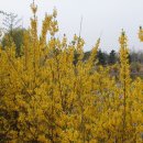 호수공원 제2주차장 이미지