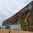 부산현대미술관 이미지