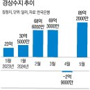 수지24 이미지