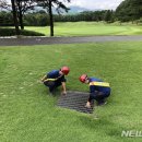 공무원연금공단천안상록리조트상록호텔 이미지