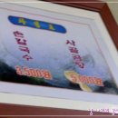 용비집