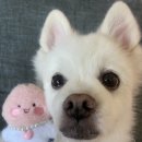 안진농장 이미지