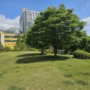 로하스이비인후과의원 이미지