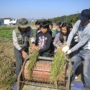 추억농장 이미지