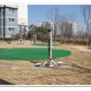 삼육 부동산중개사무소 이미지