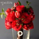 일피오레 네이버블로그