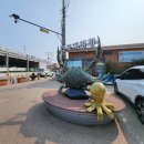 드림수산 | 대명항 수산시장 꽃게 갑오징어 철 방문기.