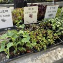 현대종묘사 이미지