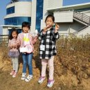 강화고인돌 캠핑장 이미지