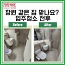 백두종합목재(주) | 창원 프리미엄 입주청소 후기 인테리어 후 분진·백시멘트 오염 완벽 제거 현장 공개