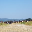 (주)911응급환자이송단 이미지