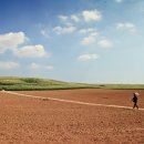 백상기농장 이미지