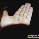 스피드메이트 안강점 이미지