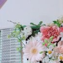 디어리플레르 이미지
