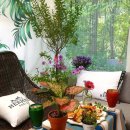 냥이 많은 식탁 이미지