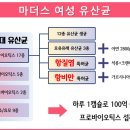 팜프라자아울렛약국 이미지