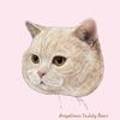 ANGELINUS CATTERY 이미지