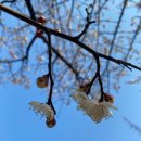 뿌리광장 이미지