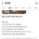 코지휴