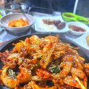 오늘은포차