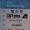 알피짐 이미지