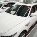 엠오토모빌 | 월드도이치오토모빌 – 대구에서 신뢰로 쌓아온 중고차 거래의 새로운 기준