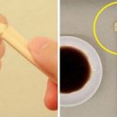 나무젓가락 이미지