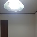 파파스약국 이미지