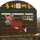 동키캐슬 캠핑장 이미지