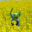 오손도손 이미지