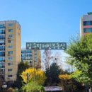 압구정-209 이미지
