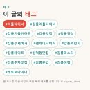 성덕동-1 | 강원 강릉 · 성덕동 아메리칸 다이너 강릉 리틀다이너 폭신한 팬케이크버거와 레트로 감성 · 강릉 가...