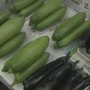농축산물직거래센타 이미지