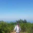 한국국립공원협회