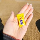 옹기꽃게장 용현점 | [내돈내산] 밥도둑에게 무장해제 당하고 온 날, 인천 옹기꽃게장