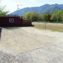 강여울 숲 이미지