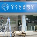 자양동물병원