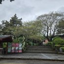 소망애견 | 제주 동쪽 애견동반가능한 여행지 '일출랜드' 방문 후기(성산일출봉 인근 가볼만한 곳, 일출랜드 족욕...