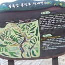화채봉계곡펜션