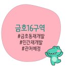 대호심지