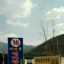 마비정농장 이미지