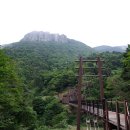 명국이