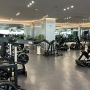 짐포레스트 - 서초구 방배로 136 | 짐포레스트
