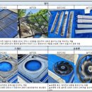 딸기약국 이미지