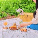 서울숲 돗자리 렌탈 피크닉 대여 히어나우앤덴 이용후기